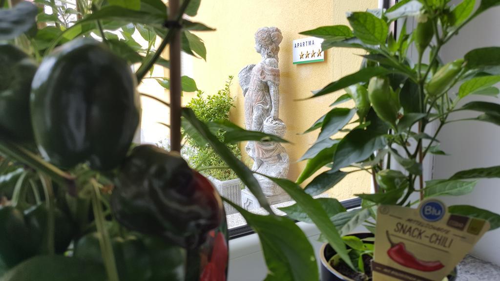 Appartement E&e